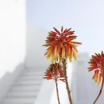 Szálloda La Mykonos