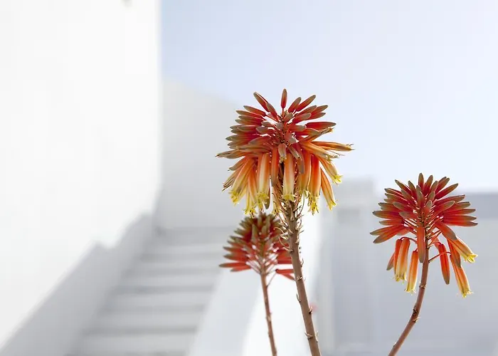 Отель La Mykonos